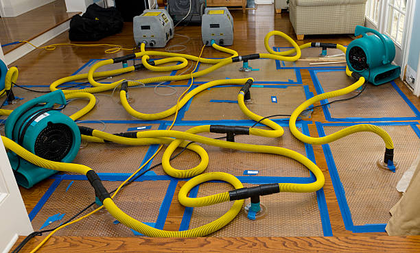 Professional Flood Damage Restoration technician working in Hutto, TX